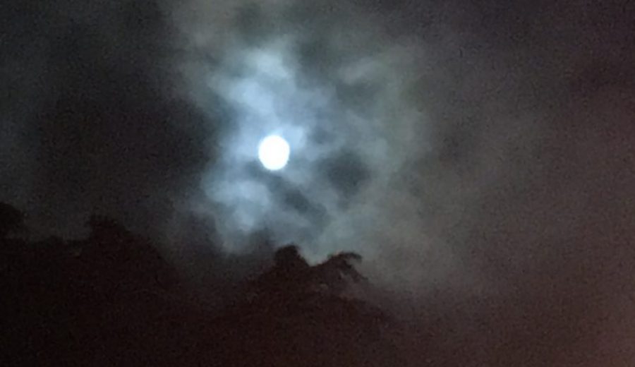 The feast of the Moon at the Château Guiraud