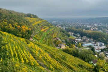 Road trip gourmand à travers les grands crus d’Alsace